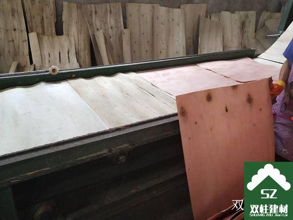 建筑模板生產(chǎn)車間 (164).jpg