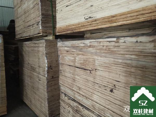 建筑模板生產(chǎn)車間 (161).jpg