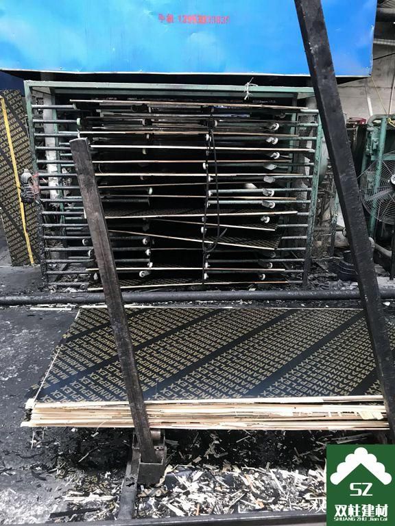 建筑模板生產(chǎn)車間 (146).jpg