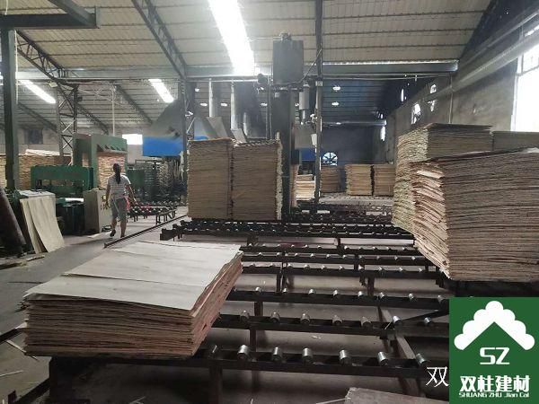 建筑模板生產(chǎn)車間 (165).jpg